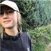 Cours de soutien, aide aux devoirs niveau primaire/collège